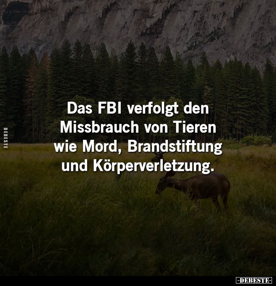 Das FBI verfolgt den Missbrauch von Tieren... - Lustige Bilder | DEBESTE.de