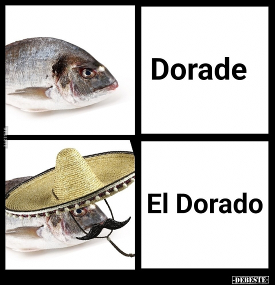 Dorade/ El Dorado.. - Lustige Bilder | DEBESTE.de