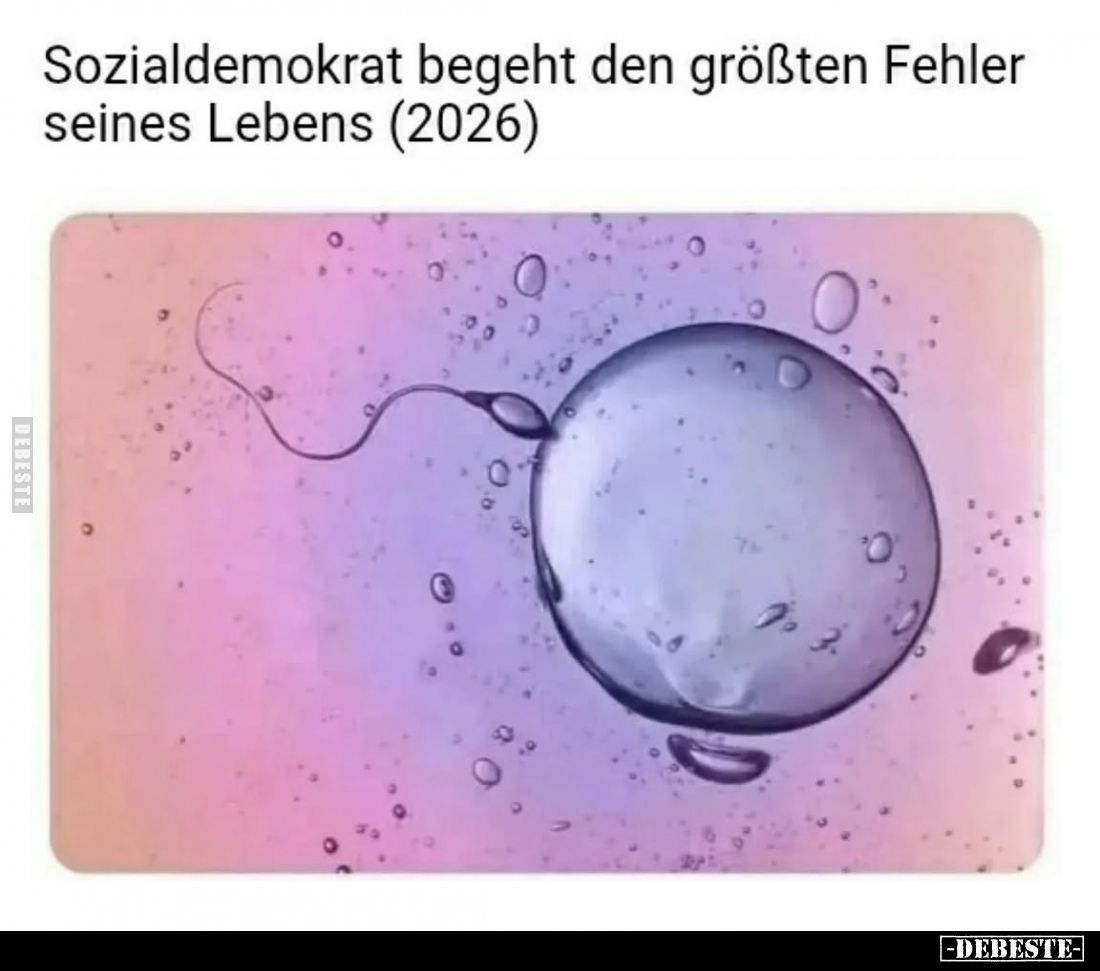 Sozialdemokrat begeht den größten Fehler seines Lebens.