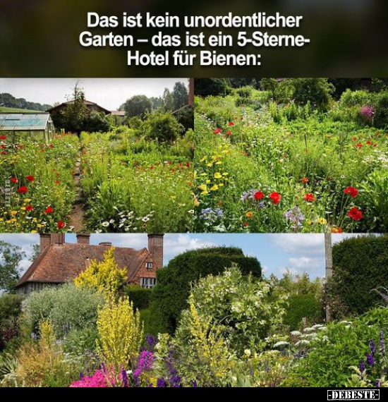 Das ist kein unordentlicher Garten.. - Lustige Bilder | DEBESTE.de