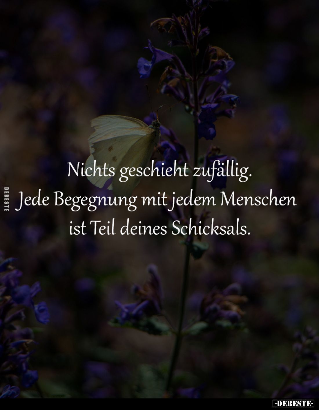 Nichts geschieht zufällig.
Jede Begegnung mit jedem Menschen 
ist Teil deines Schicksals.