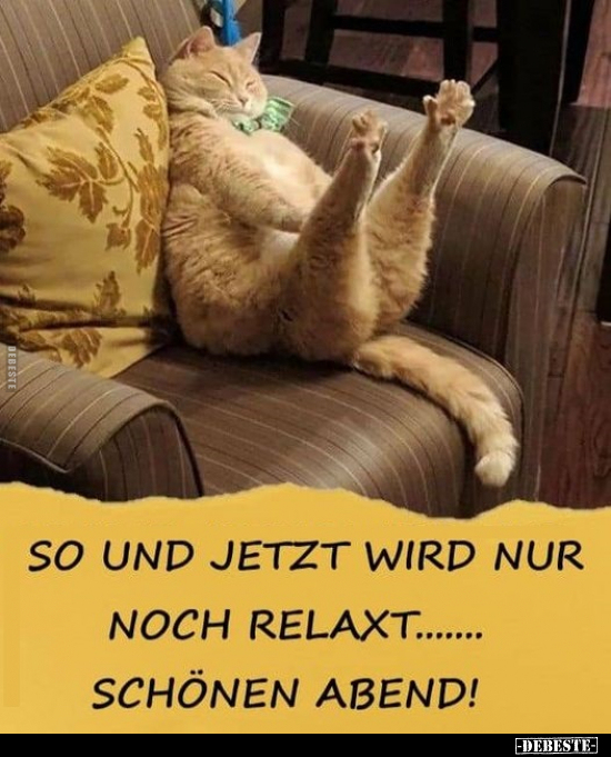 So und jetzt wird nur noch relaxt... Schönen Abend!.. - Lustige Bilder | DEBESTE.de