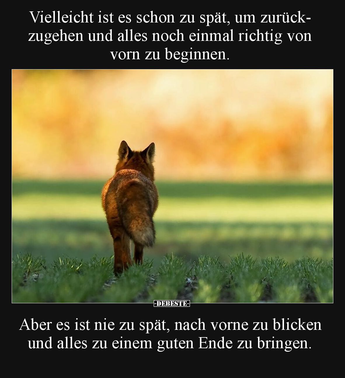 Vielleicht ist es schon zu spät, um zurückzugehen und alles noch einmal richtig von vorn zu beginnen.

Aber es ist nie zu s...