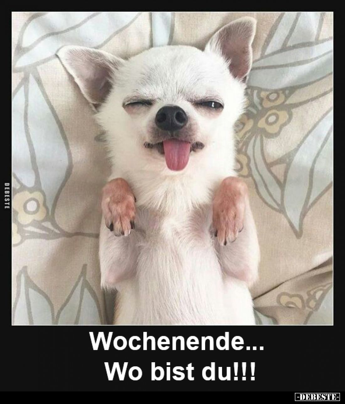 Wochenende...
wo bist du!!!