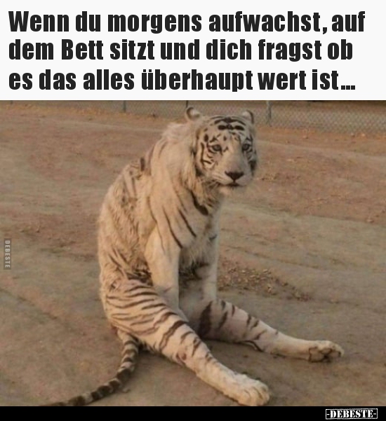 Wenn du morgens aufwachst, auf dem Bett sitzt und dich..