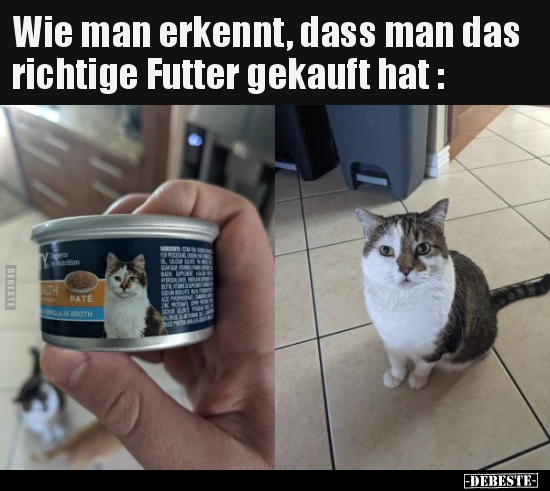 Wie man erkennt, dass man das richtige Futter gekauft hat.. - Lustige Bilder | DEBESTE.de