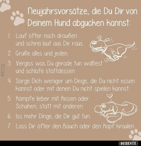 Neujahrsvorsätze, die Du Dir von Deinem Hund abgucken.. - Lustige Bilder | DEBESTE.de