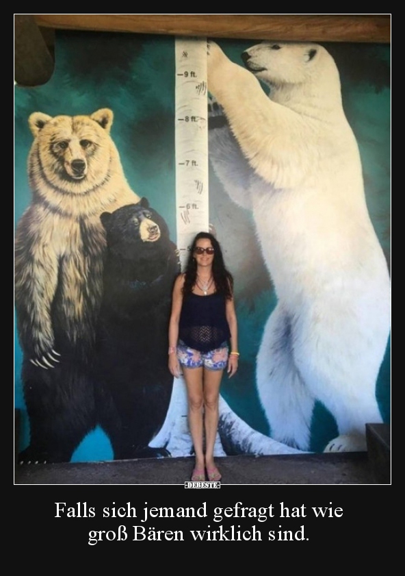 Falls sich jemand gefragt hat wie groß Bären wirklich.. - Lustige Bilder | DEBESTE.de