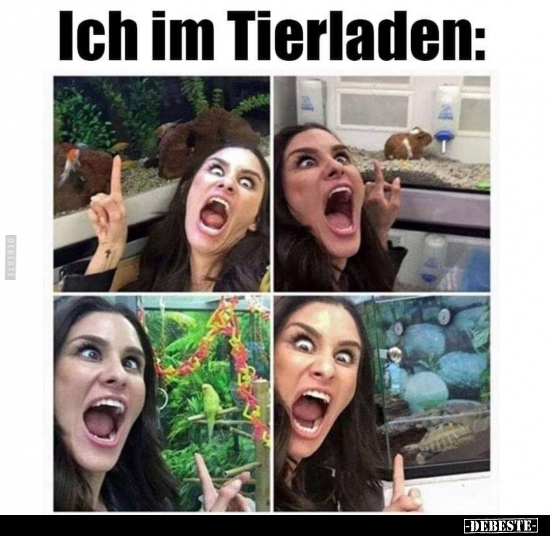Ich im Tierladen..