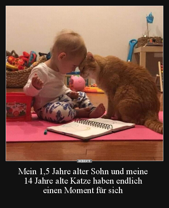 Mein 1,5 Jahre alter Sohn und meine 14 Jahre alte Katze.. - Lustige Bilder | DEBESTE.de