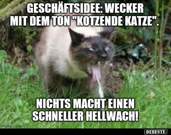 Geschäftsidee: Wecker mit dem Ton "kotzende Katze"... - Lustige Bilder | DEBESTE.de