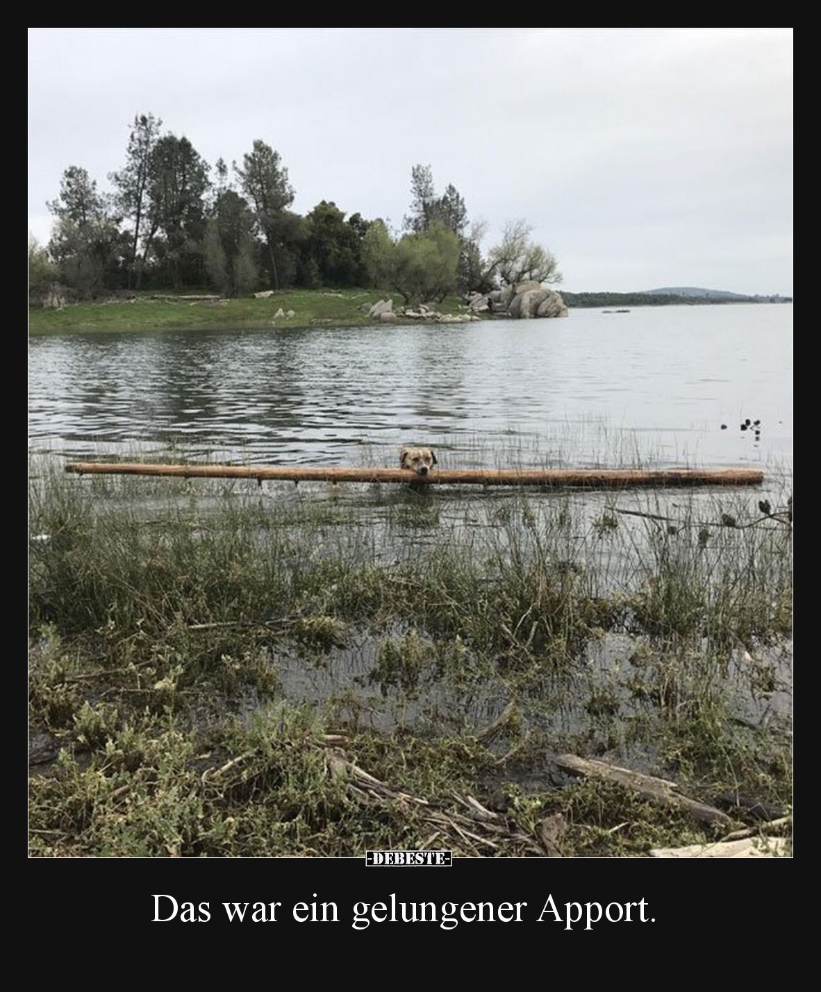 Das war ein gelungener Apport.