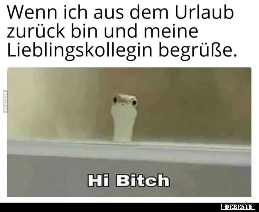 Wenn ich aus dem Urlaub zurück bin und meine Lieblingskollegin begrüße.
Hi Bitch