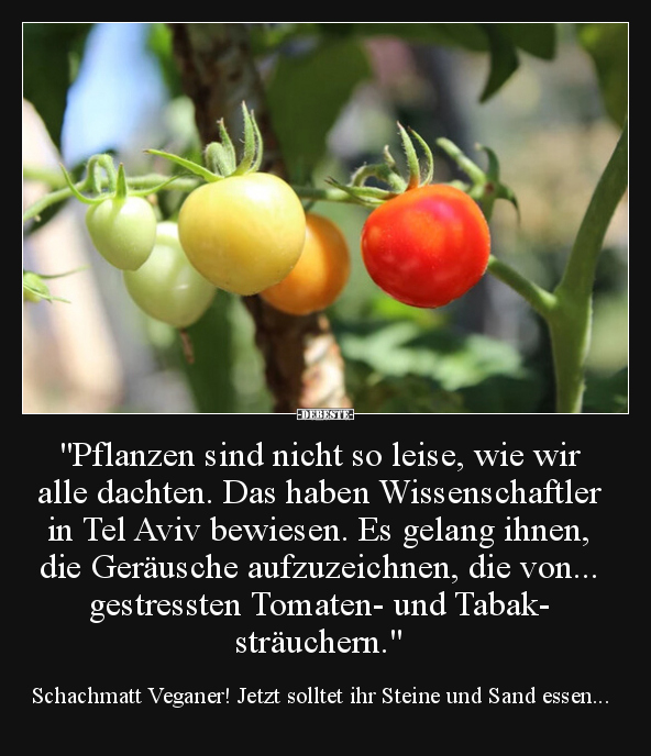 "Pflanzen sind nicht so leise, wie wir alle dachten..." - Lustige Bilder | DEBESTE.de