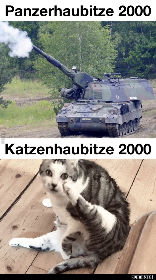 Panzerhaubitze 2000 - Katzenhaubitze 2000