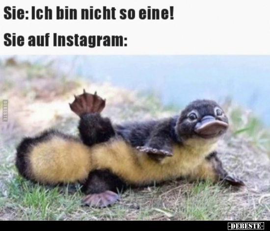 Sie: Ich bin nicht so eine! - Sie auf Instagram.. - Lustige Bilder | DEBESTE.de