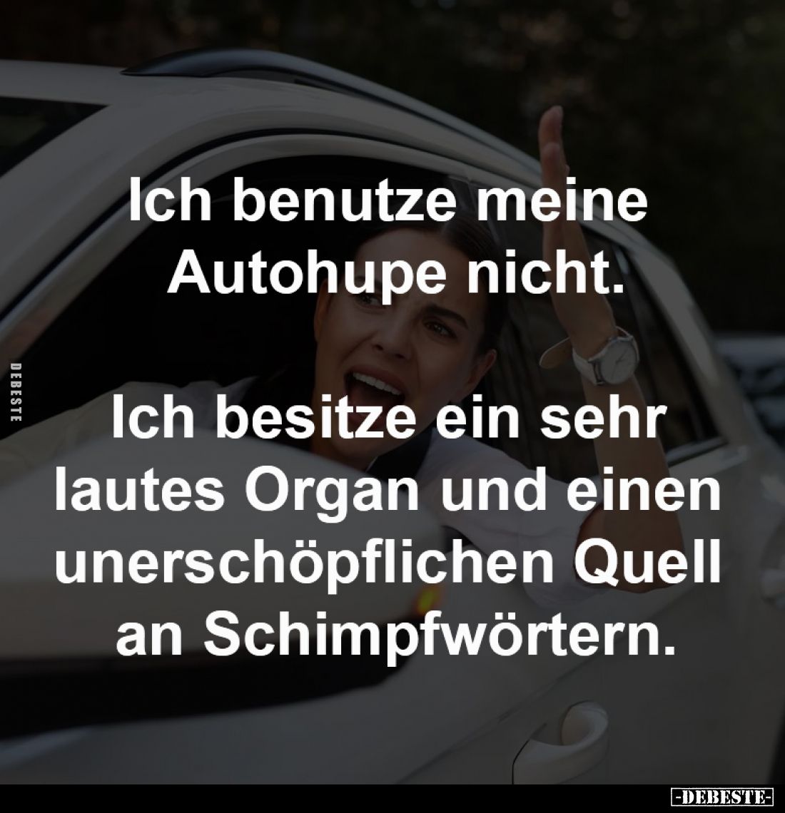 Ich benutze meine 
Autohupe nicht.

Ich besitze ein sehr 
lautes Organ und einen 
unerschöpflichen Quell 
an Schimpfwör...