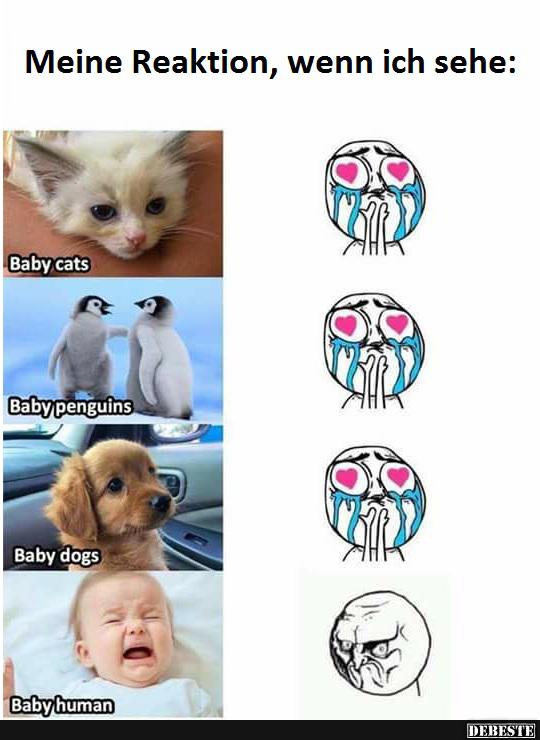 Meine Reaktion, wenn ich sehe..