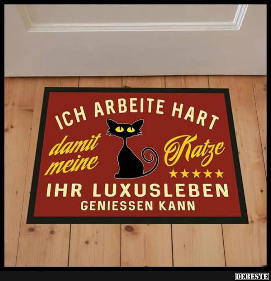 Alles  für  Katz :)