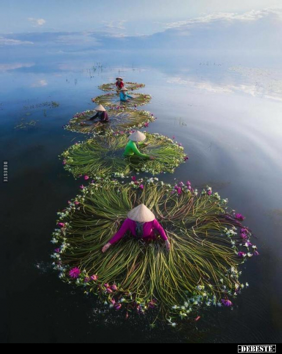  - Lustige Bilder | DEBESTE.de