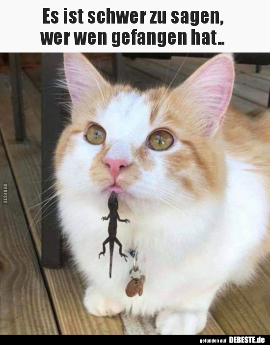 Es ist schwer zu sagen, wer wen gefangen hat..