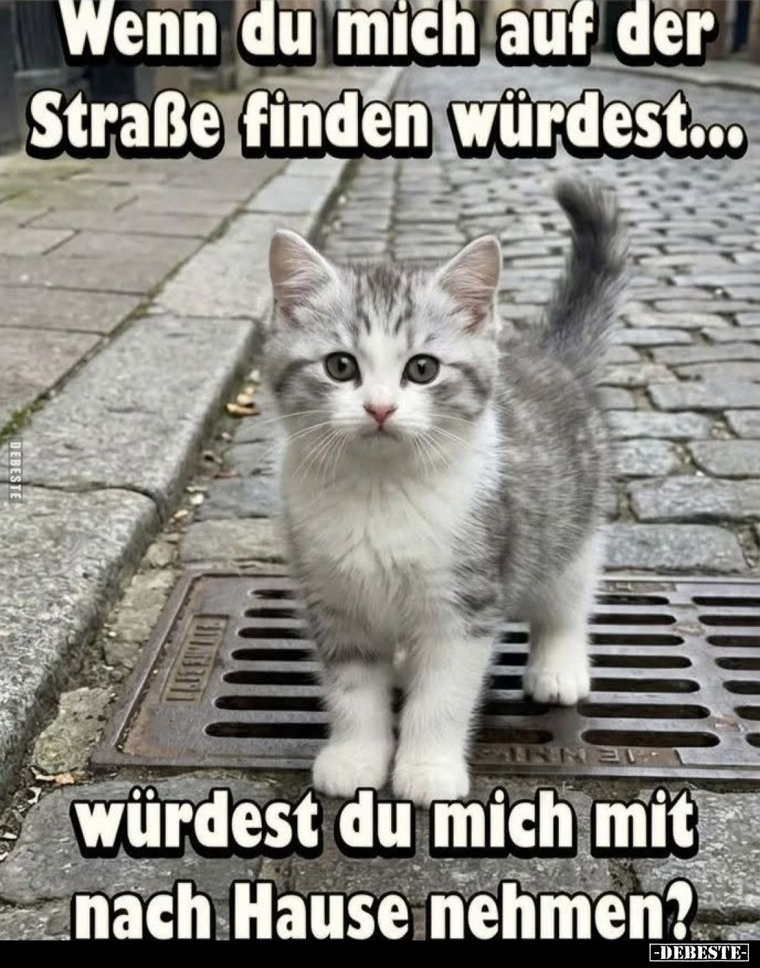 Wenn du mich auf der Straße finden würdest...
würdest du mich mit nach Hause nehmen?
