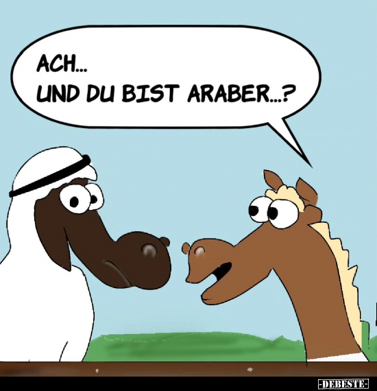 Ach... und du bist Araber...? - Lustige Bilder | DEBESTE.de
