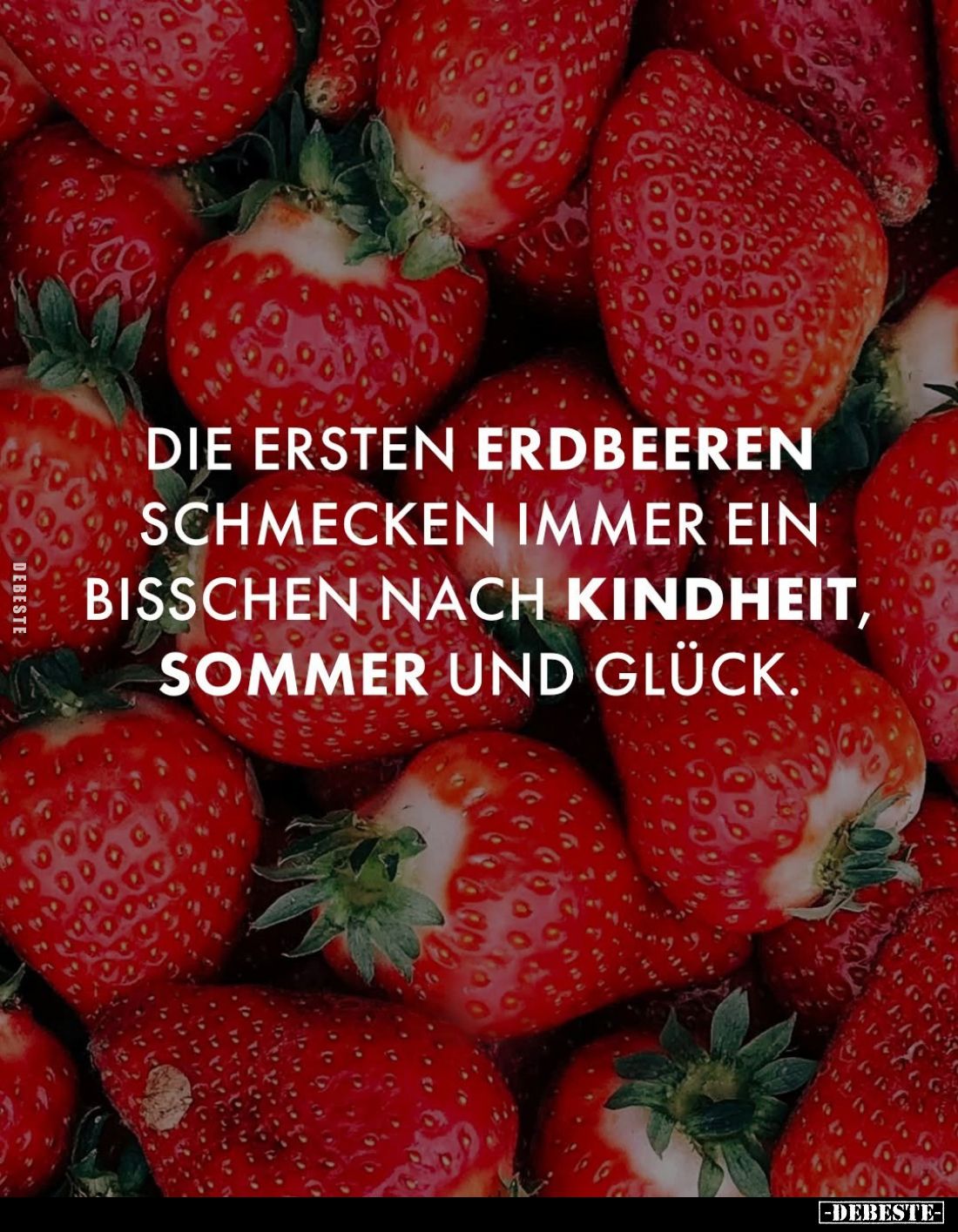 Die ersten Erdbeeren schmecken immer ein bisschen nach Kindheit, Sommer und Glück.