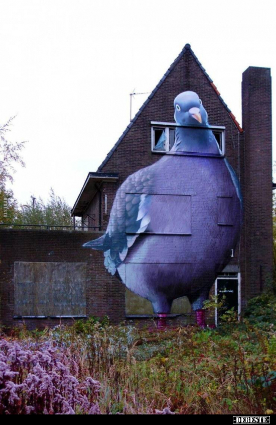  - Lustige Bilder | DEBESTE.de