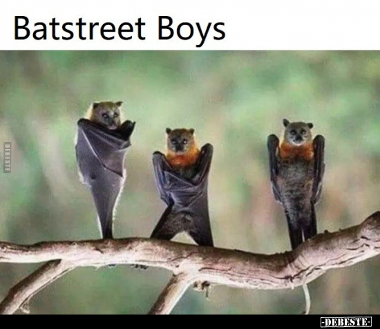 Batstreet Boys