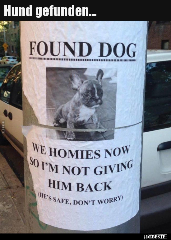 Hund gefunden...