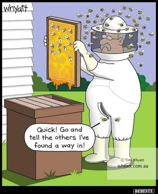  - Lustige Bilder | DEBESTE.de