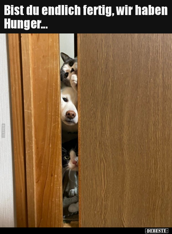 Bist du endlich fertig, wir haben Hunger