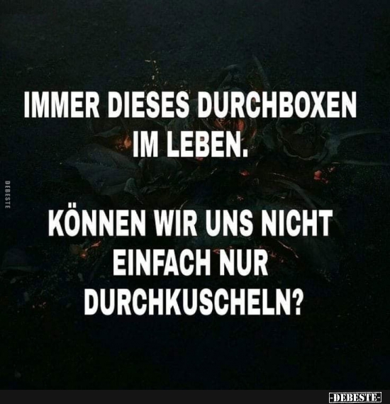 Immer dieses Durchboxen im Leben.. - Lustige Bilder | DEBESTE.de