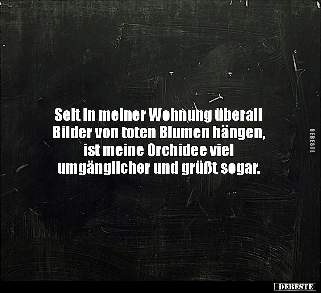 Seit in meiner Wohnung überall 
Bilder von toten Blumen hängen, 
ist meine Orchidee viel 
umgänglicher und grüßt sogar.