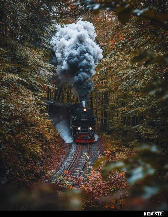  - Lustige Bilder | DEBESTE.de