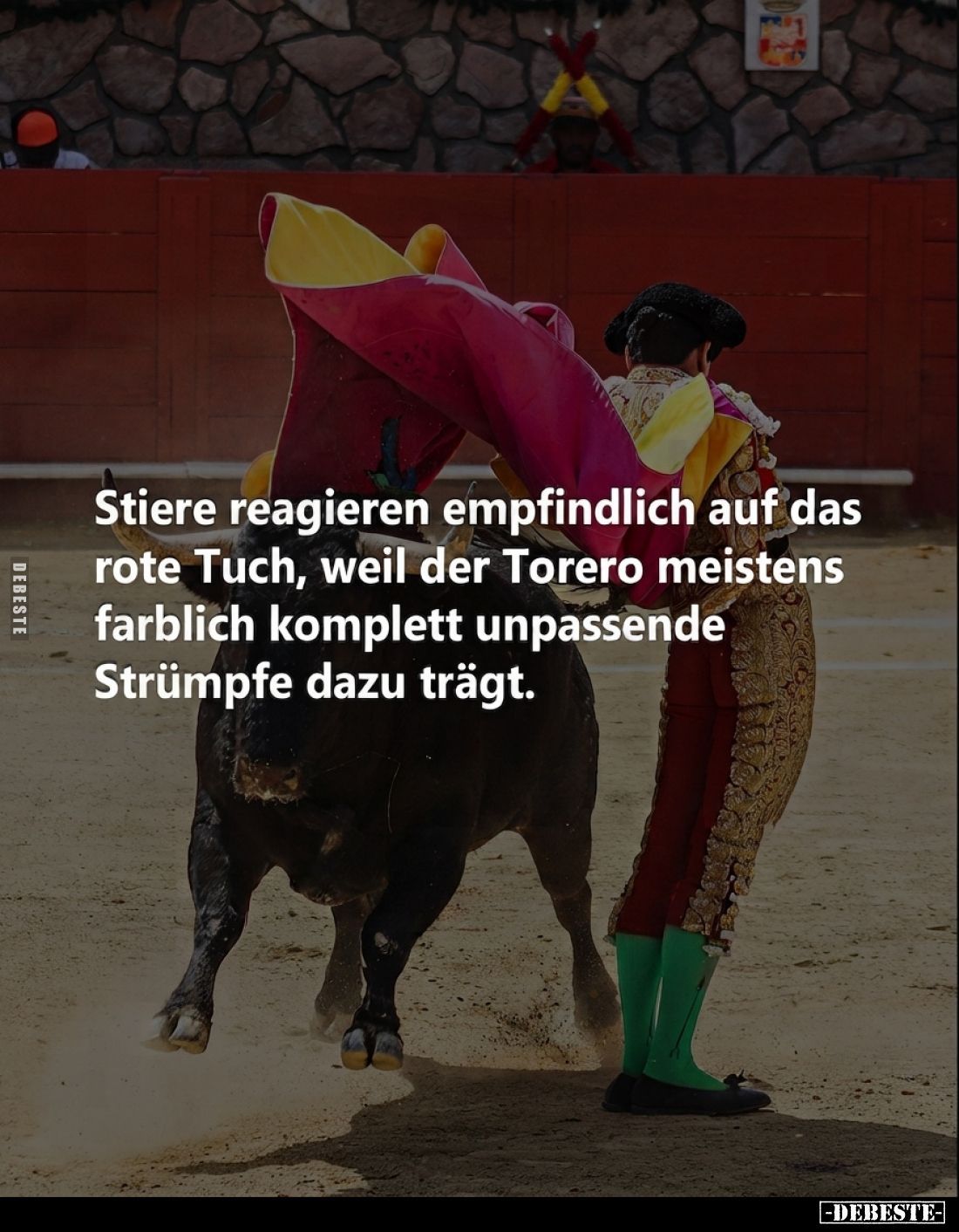 Stiere reagieren empfindlich auf das rote Tuch, weil der Torero meistens farblich komplett unpassende Strümpfe dazu trägt.