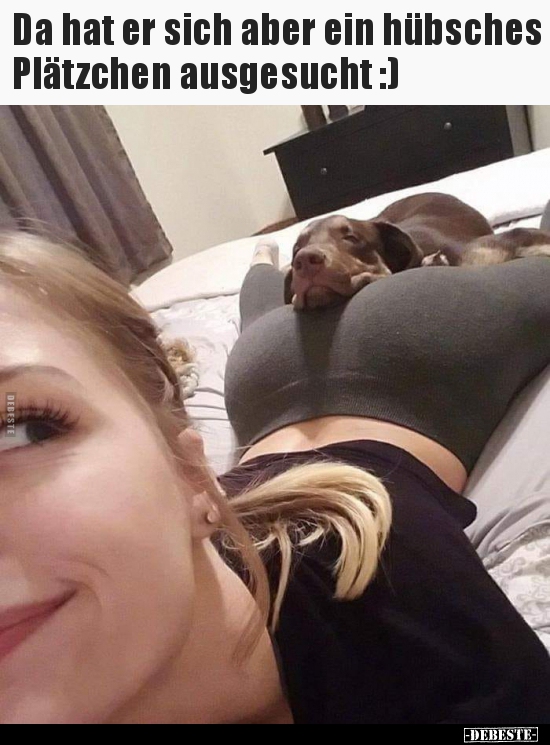 Da hat er sich aber ein hübsches Plätzchen ausgesucht..