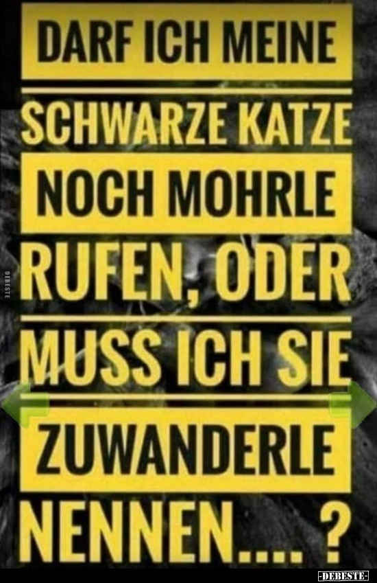 Schwarze, Schwarze Katze, Katze