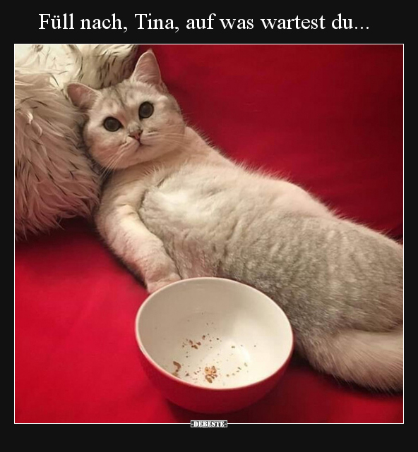 Füll nach, Tina, auf was wartest du...