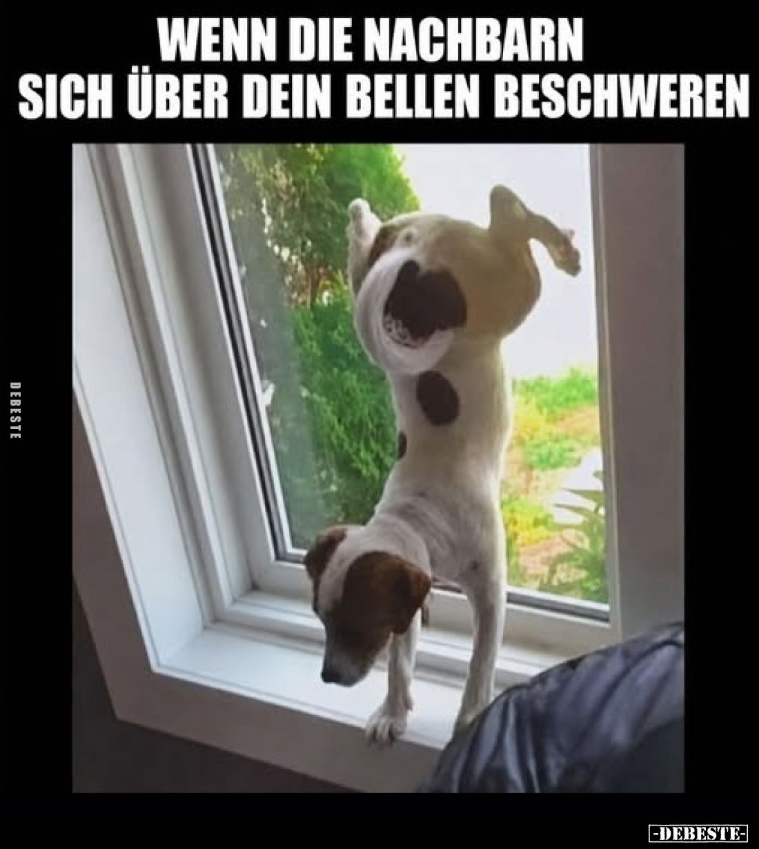 Wenn die Nachbarn sich über dein Bellen beschweren