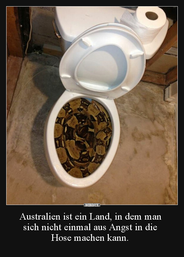 Australien ist ein Land, in dem man sich nicht einmal aus.. - Lustige Bilder | DEBESTE.de