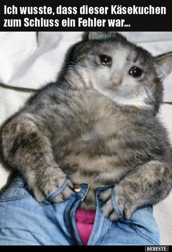 Ich wusste, dass dieser Käsekuchen zum Schluss ein Fehler..