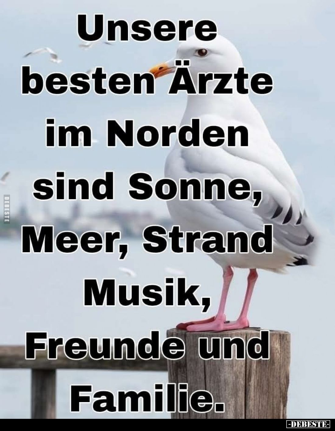 Unsere besten Ärzte im Norden sind Sonne, Meer, Strand Musik, Freunde und Familie.