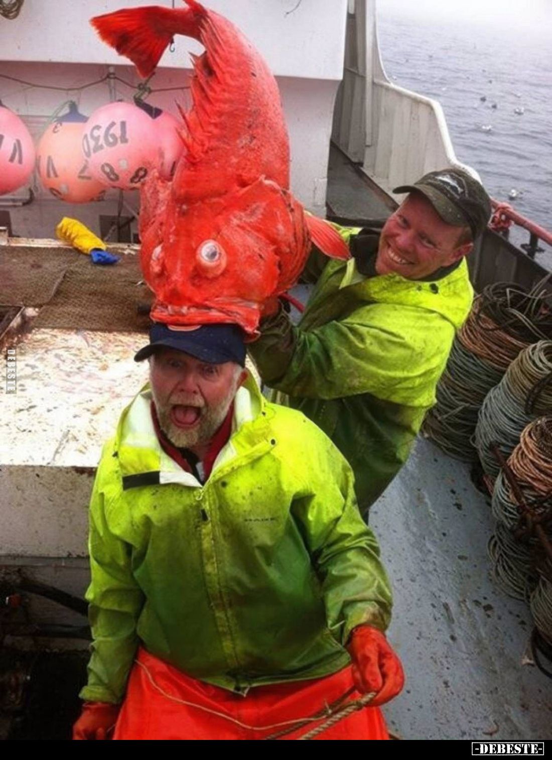  - Lustige Bilder | DEBESTE.de