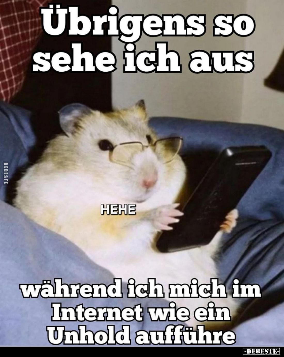 Übrigens so sehe ich aus
während ich mich im Internet wie ein Unhold aufführe.