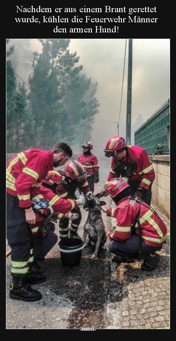 Nachdem er aus einem Brant gerettet wurde, kühlen die..