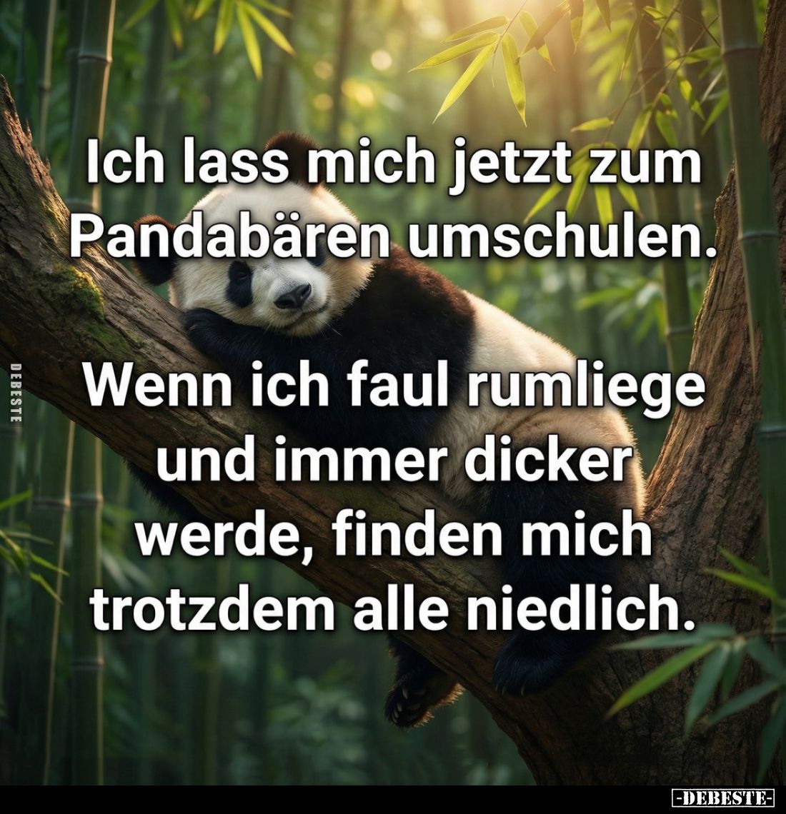 Ich lass mich jetzt zum Pandabären umschulen.
Wenn ich faul rumliege und immer dicker werde, finden mich trotzdem alle niedl...
