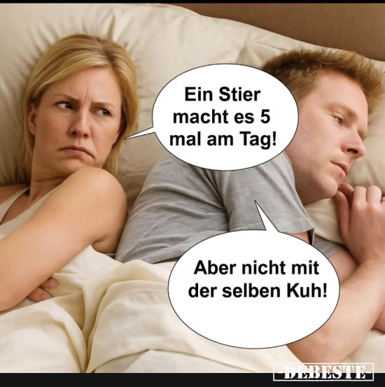 Win Stier - Lustige Bilder | DEBESTE.de