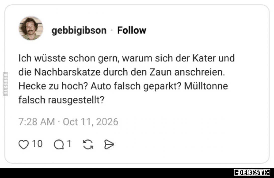 Ich wüsste schon gern, warum sich der Kater und die Nachbarskatze durch den Zaun anschreien.
Hecke zu hoch? Auto falsch gepa...